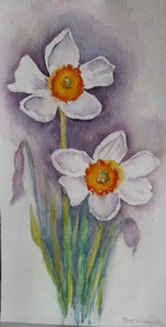 Chrissy F, Narcissi, watercolour.jpg